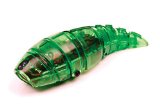 HEXBUG Larva (Colors May Vary)
