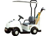 Kids Junior Golf Cart 6v by NPL