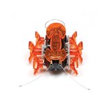 Hexbug Ant (Colors May Vary)