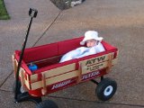Radio Flyer All-Terrain Steel and Wood Wagon Children / Kids Toy / Game